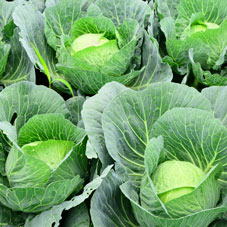 ���i�C���[�W1