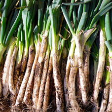 ���i�C���[�W2